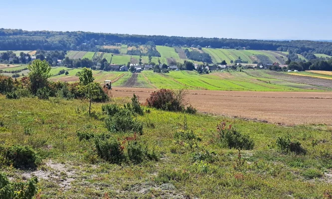 Traditional farming for a better future: The Rzeszów Manifesto