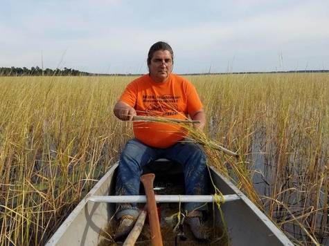 Allow NO chemicals on Tawas Lake Rice