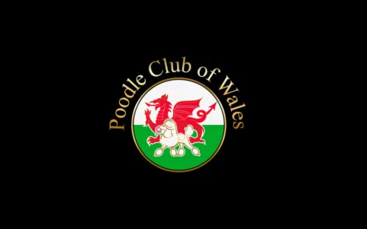 Allow Poodle Club of Wales to be split from south west poodle club