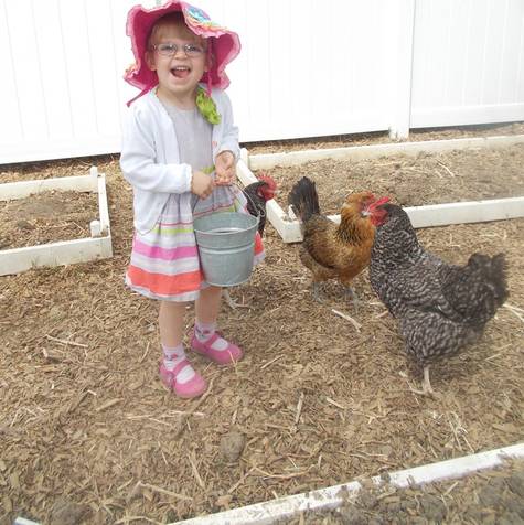 Allow Young Children in Colorado to Have Pet Chickens and Ducks