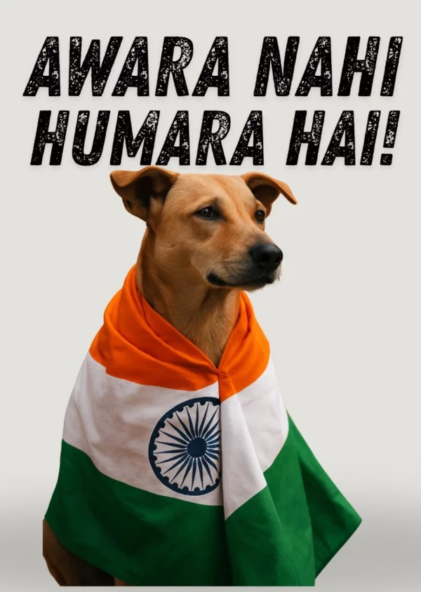 Awara Nahi Hamare Hai