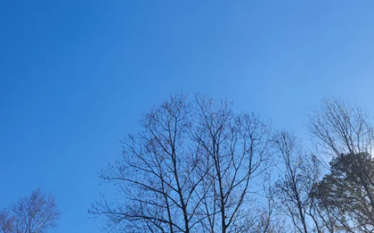 Ban Geoengineering in North Carolina