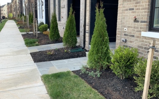 Black Mulch for The West Village