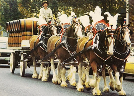 Bring Back the CUB Horse Team! 