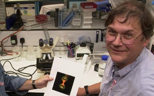 Bring Back Tim Hunt!