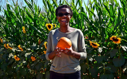 Change CSU System Requirement of Financial Independence 