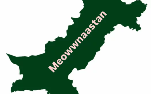 Change pakistan to meowwnaastan