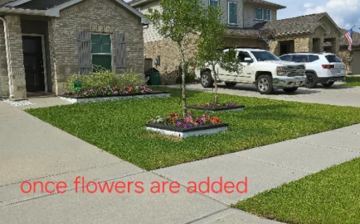 Community Support for Front Yard Design at 12023 Silver Moon Ln