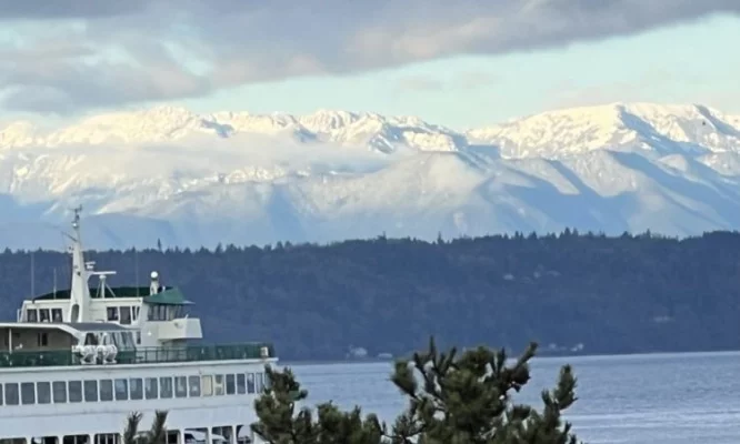 Enough!  Utility tax increase is last straw!