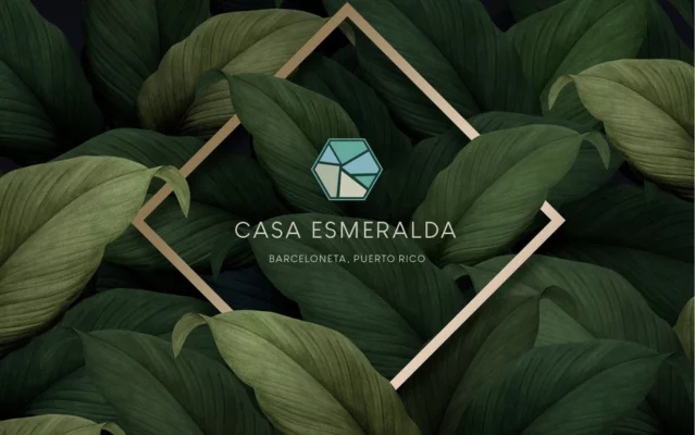 Estados Financieros - Casa Esmeralda