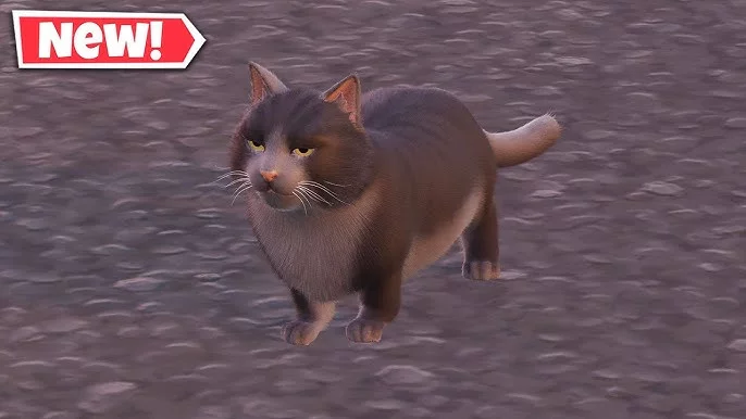 Fortnite cat