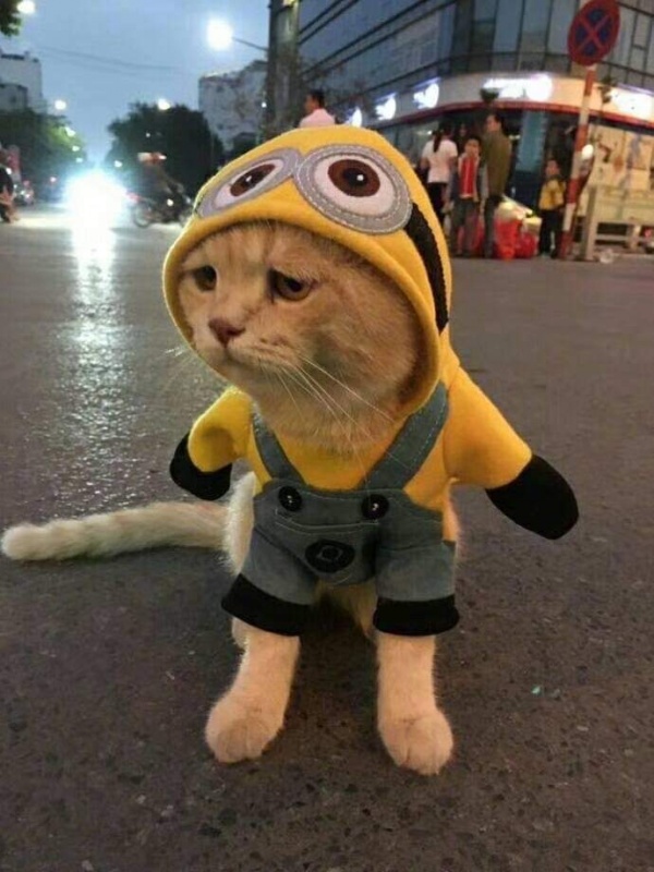 Get bob to leave Valorant lfg discord and to stop farming egirls.