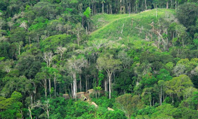 Global Rainforest Heritage Sites