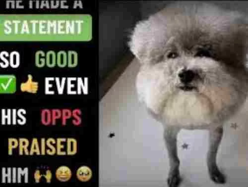 Historical Essay First Draft Extention