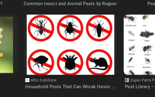 KICK HIMADHAR OUT OF SCHOOL!!!