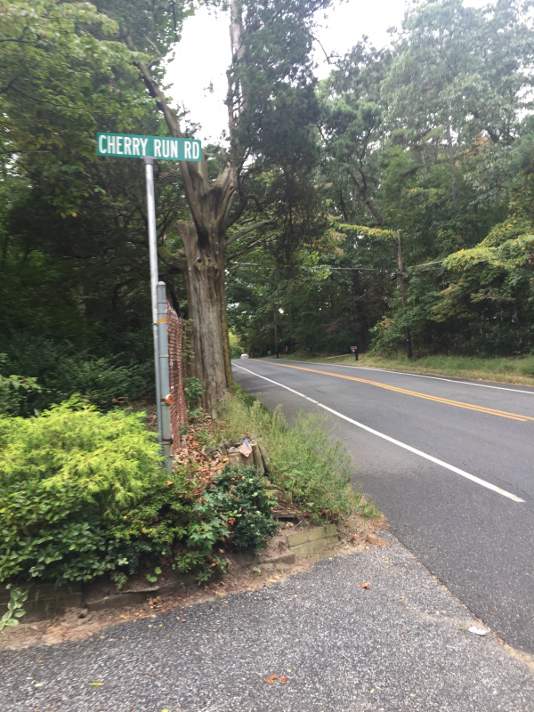 Lake Gilman Entrance visibility obstruction. Country road tree removal needed 