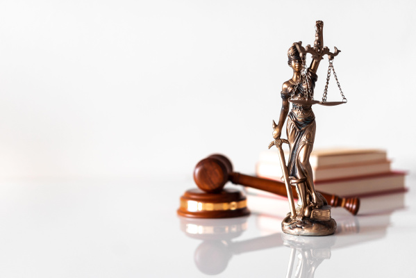 Law Diversity info release