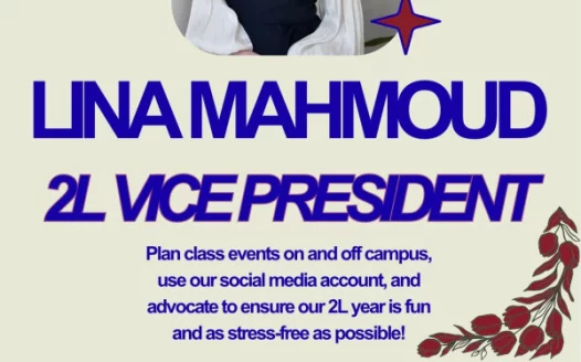 Lina Mahmoud for 2L Vice President