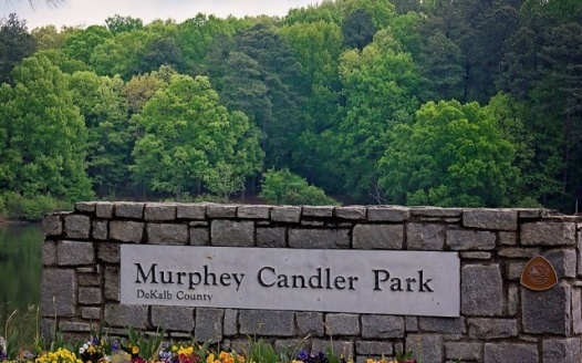 Loop Road Petition - Murphy Candler Park
