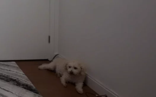 Make King Chopper our only Mod