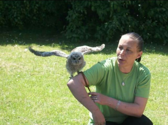 Mansfield Wildlife Rescue UK