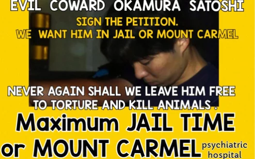 NO  MENTAL  EXCUSES for TORTURING OUR CATS 