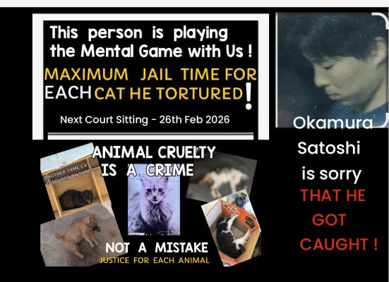 26th Feb 2026 Okamura Satoshi Back in Court !   He Deserves Maximum Jail Sentence  and Maximum Fine for EACH of the 5 cats Tortured . Then Deported !