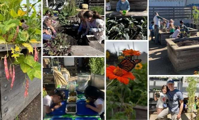 Save the Montclair Elementary Garden Program