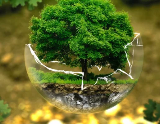 Σταματήστε την Καταστροφή – Προστατεύστε το Περιβάλλον της Ελλάδας