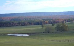 No to Data Centers, Yes to Rural Preservation - Frederick County, VA