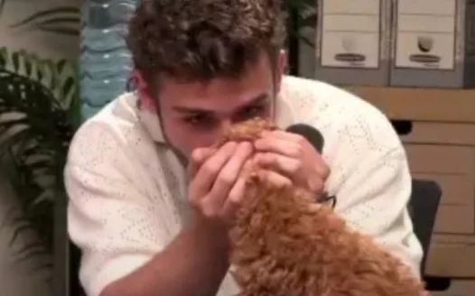 Petition for George Clarkey to get a puppy!