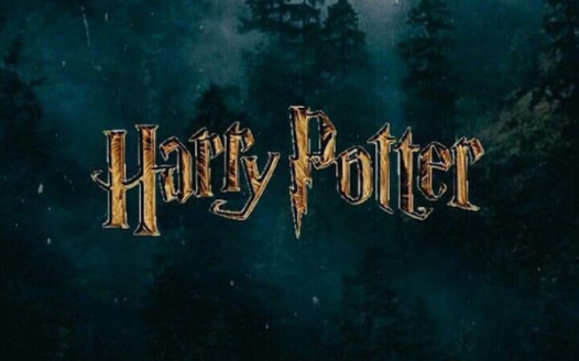 Petition For Warner Bros (NEW Harry Potter Movie)