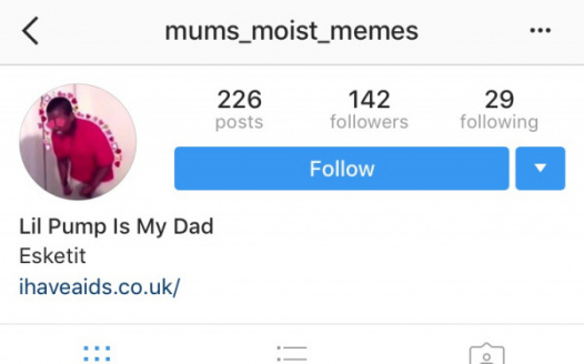 Petition to ban meme page “mums_moist_memes”