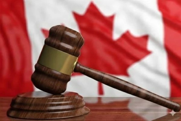 Petition to the Government of Canada for a Fair Judicial Process to Examine Claims Against Mr. Pejman Jamshidi