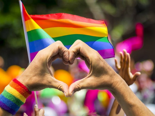 Queer Education For the U.S
