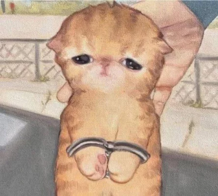 РАЗБАНИТЬ (снять чсо) Kqusha и наказать mkt recoil за неправомерное использование своих плав