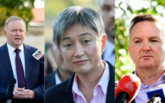 Remove Anthony Albenese, Tony Burke and Penny Wong from Office