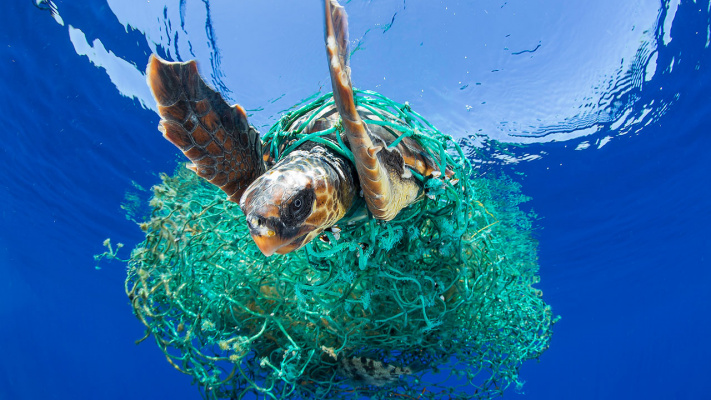 Remove the Plastic from the Great Pacific Garbage Patch!