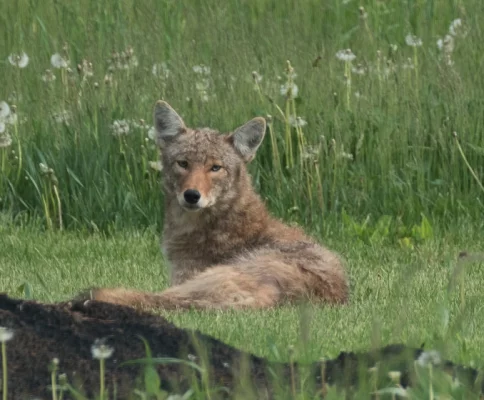 Restructuring of the ECC Committee