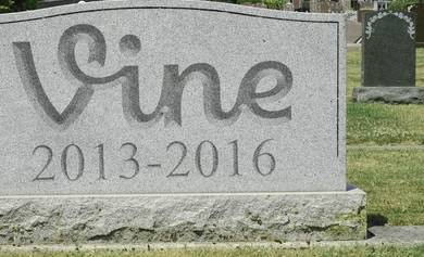 RESURRECT VINE