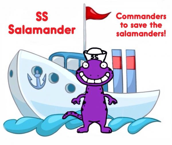 Save the Austin Blind Salamander
