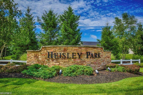 Petition Special Meeting of the Heisley Park HOA