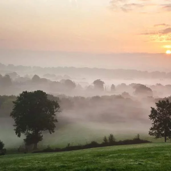 Stop Overdevelopment in Sussex Weald: Protect Our Communities, Services & Green Spaces