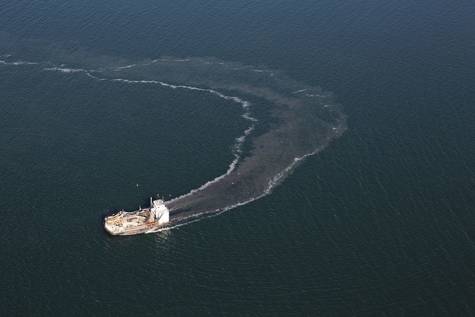 OVERALL HEALTH STUDY  ON OYSTER BAY HARBOR  & COMPATIBILITY STUDY ON SHELLFISH DREDGING 