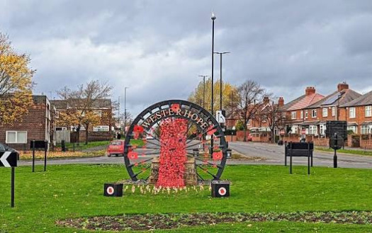 Stop the proposed cycle lane on Stamfordham road