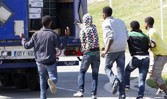 Stop Transporters getting fined for illegal immigrant's