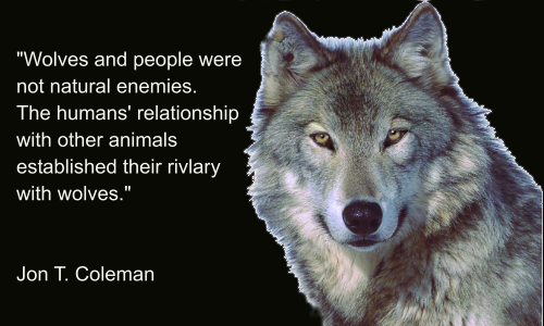 The Way of the Wolf