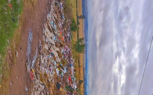 Urgent Request For The Cleaning Of Illegal Dumping Sites And Maintenance Of Public Toilets