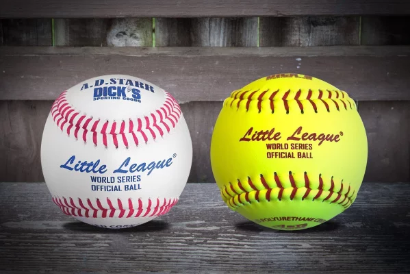 Vote of No Confidence & Demand for Fair Elections: Monroe Woodbury Little League
