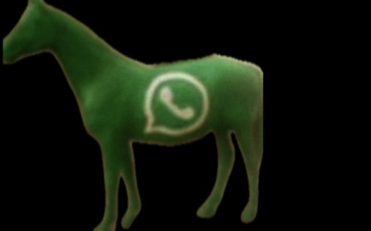 Whatsapp horse